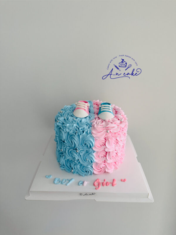 Gender reveal 1